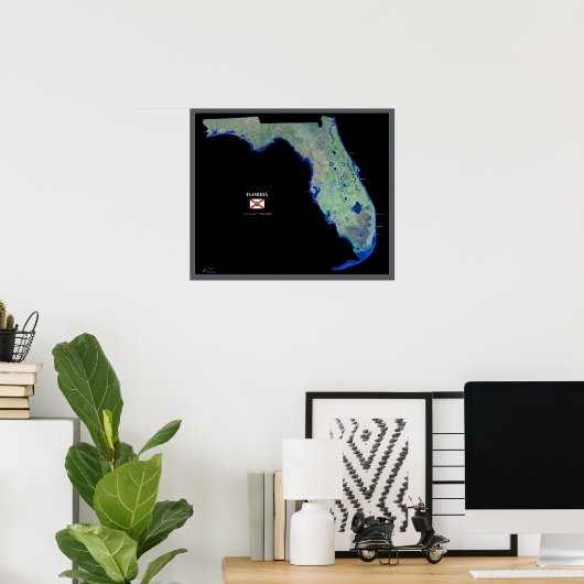 Poster Floride de l'affiche spatiale satellite (Bureau à domicile)