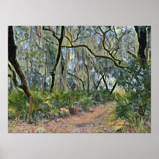 Poster Floride dentelle espagnole mousse impressionniste  (Devant)