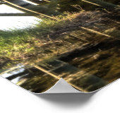 Poster Floride Everglades (Coin)