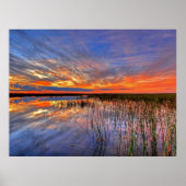 Poster Floride Everglades (Devant)