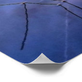 Poster Floride Everglades, panorama pittoresque, (Coin)