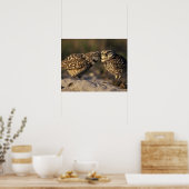 Poster Floride, Fort Myers. Chouette brulante liaison pai (Cuisine)