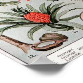 Poster Floride L'État des Everglades ,Affiche de voyage (Coin)