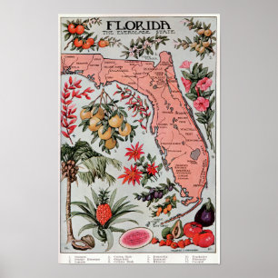 Poster Floride L'État des Everglades ,Affiche de voyage