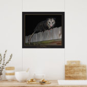 Poster Floride Opossum (Cuisine)