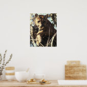 Poster Floride Panther (Cuisine)