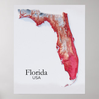 Poster Floride Plan de secours Texture rouge