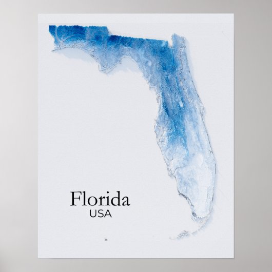 Poster Floride Relief Map Bleu Texture (Devant)
