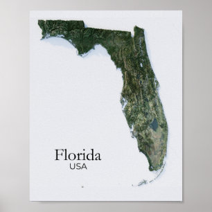 Poster Floride Relief Map Nature Texture