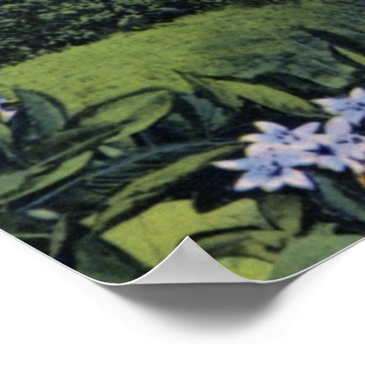 Poster Floride Streamliner Orange Blossom Special Train (Coin)