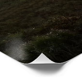 Poster Floride Sunrise Beach Photo Cocoa Beach Floride (Coin)