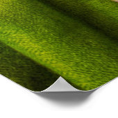 Poster Flot textile couleur alliée (Coin)