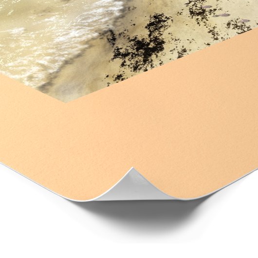 Poster Flotsam (Coin)