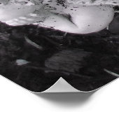 Poster Flottant (Coin)