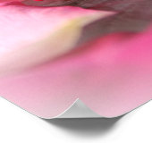 Poster flottant de pétales roses sur l'eau (Coin)