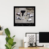 Poster Flotte d'aéronefs de recherche Dryden sur la rampe (Bureau à domicile)