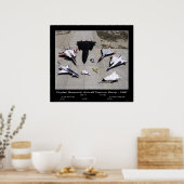 Poster Flotte d'aéronefs de recherche Dryden sur la rampe (Cuisine)