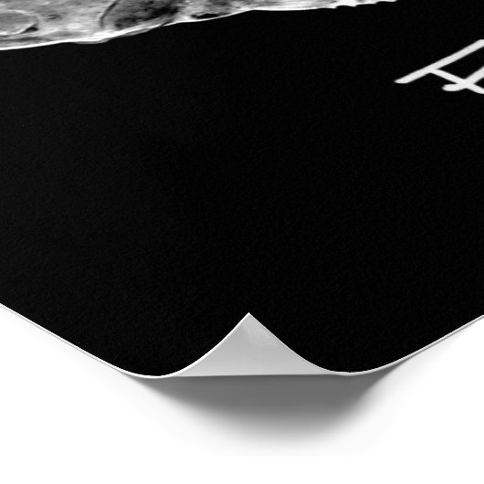 Poster Flounder Study print "TRÈS POPULAIRE" (Coin)