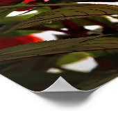 Poster Flower (Coin)