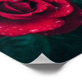 Poster Flower (Coin)