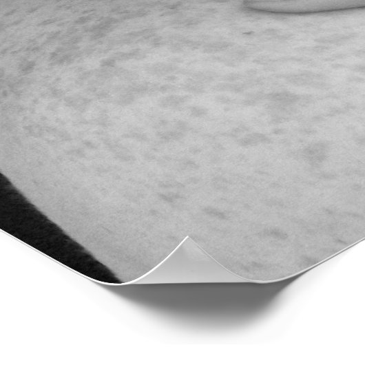 Poster "Flower Child" (Coin)