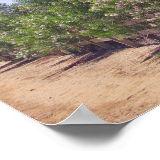 Poster Flower Desert Wild and Path (Coin)