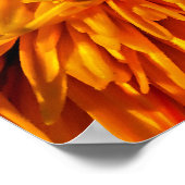 Poster Flower Fireworks (Coin)