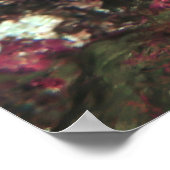 Poster Flower Gardens Moray (Coin)