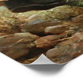 Poster Flower Girl (Coin)