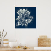 Poster flower in (Cuisine)