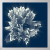 Poster flower in (Devant)