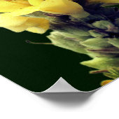 Poster Flower jaune sauvage (Coin)