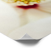 Poster Flower Magnolia (Coin)