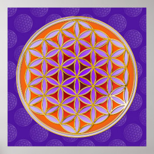Poster Flower Of Life - Button Style orange violet