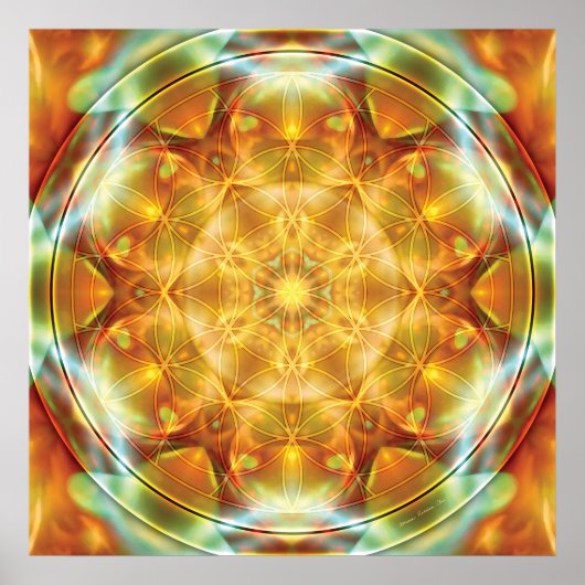 Poster Flower of Life Mandala 16 (Devant)