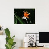 Poster Flower tropical orange paradise (Bureau à domicile)