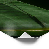 Poster Flower tropical orange paradise (Coin)