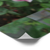 Poster Flower Violet (Coin)