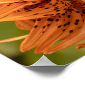 Poster Flowering Petals (Coin)