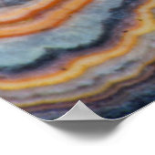 Poster Flowering tube onyx (Coin)