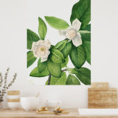 Poster Flowers 3 (Cuisine)