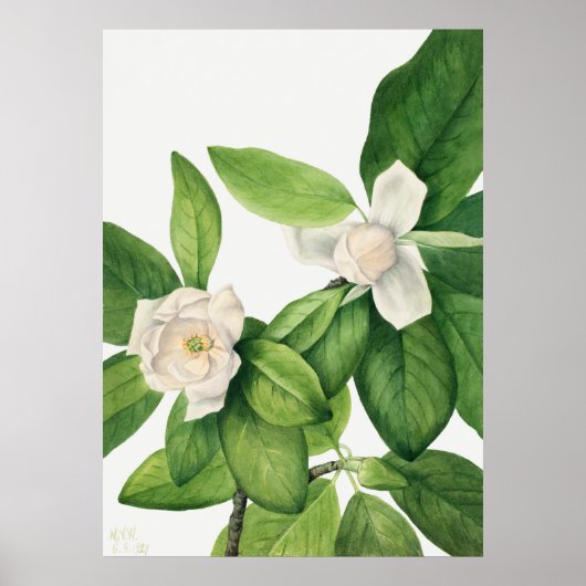 Poster Flowers 3 (Devant)