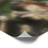 POSTER FLOWERS DE SNOW LEOPARD (Coin)