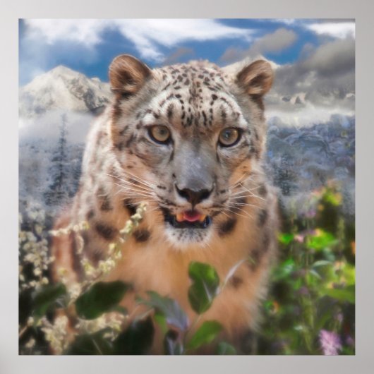 POSTER FLOWERS DE SNOW LEOPARD (Devant)