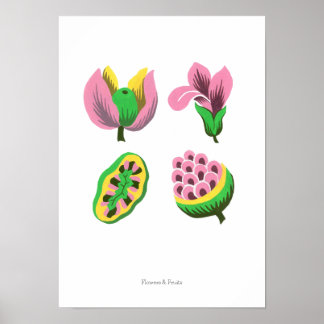Poster Flowers & Fruits