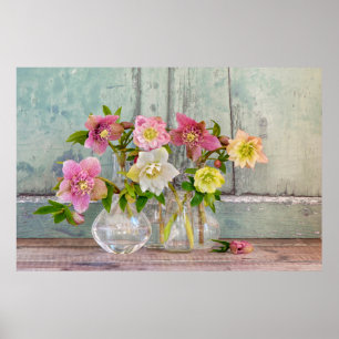Poster Flowers Hellebores in Vases