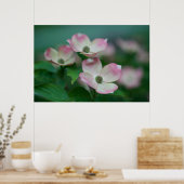 Poster Flowers (homonymie) | Blossoms de Dogwood (Cuisine)