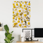 Poster Flowers (homonymie) | Bunch of Chamomiles (Bureau à domicile)
