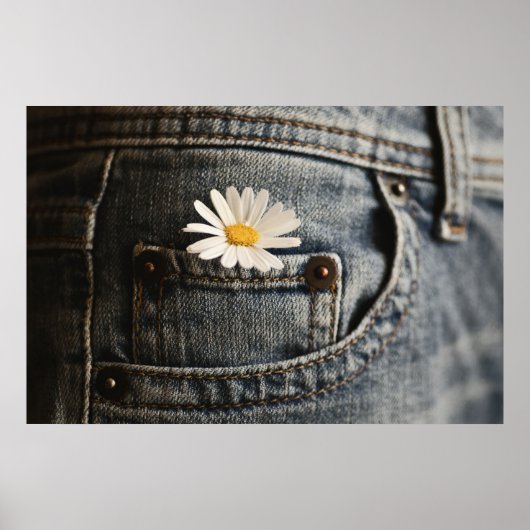 Poster Flowers (homonymie) | Daisy in Jeans Pocket (Devant)