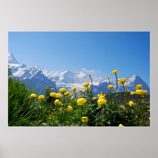 Poster Flowers (homonymie) | Eiger Monch Swiss Alps (Devant)